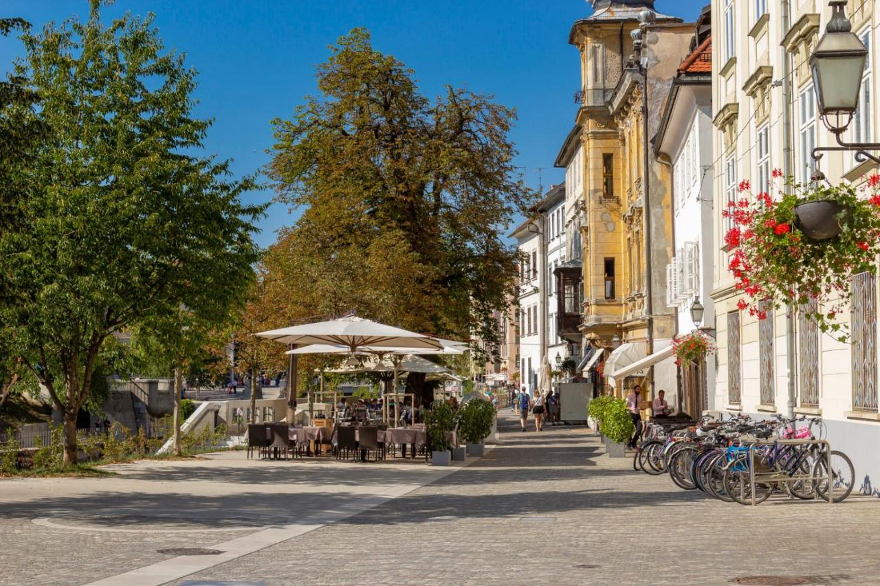 Fine * Ljubljana
