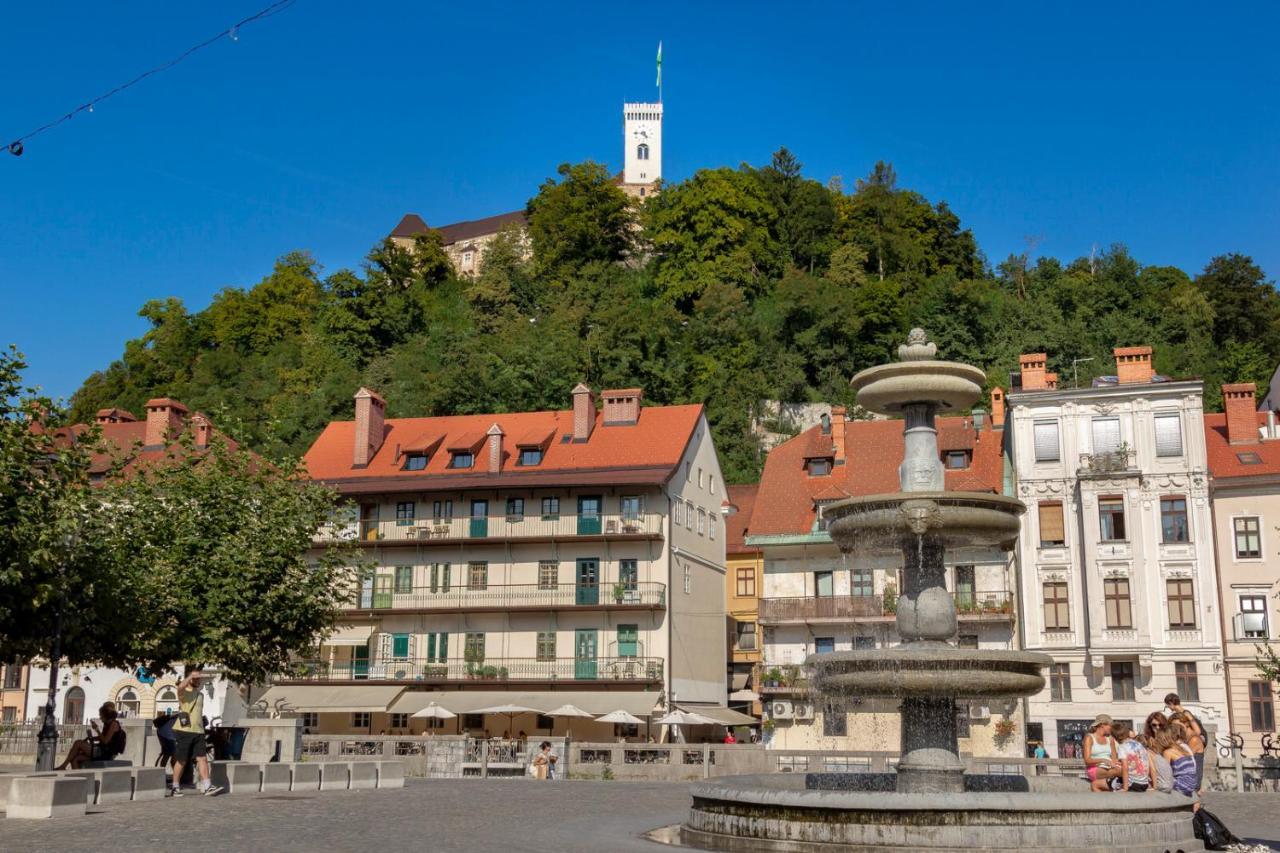 Fine Ljubljana