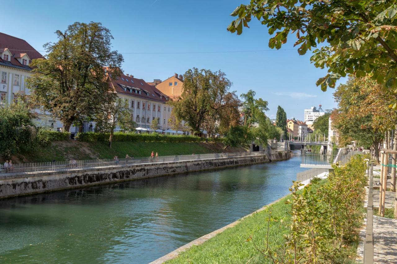 Fine * Ljubljana